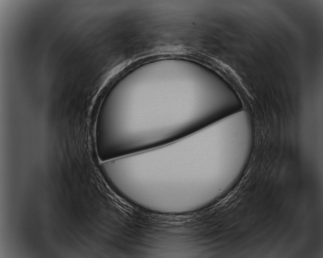 X0000052651168200507160215