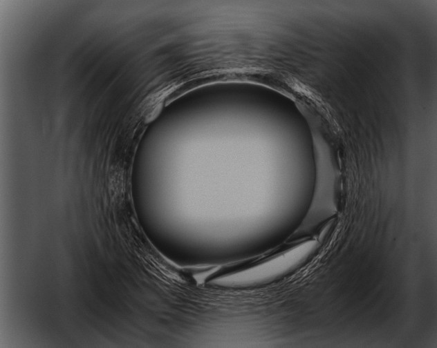 X0000052651169200507160215