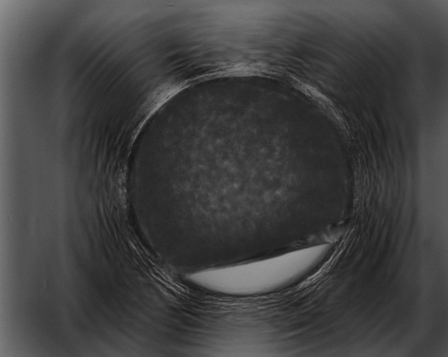 X0000052651170200507160215