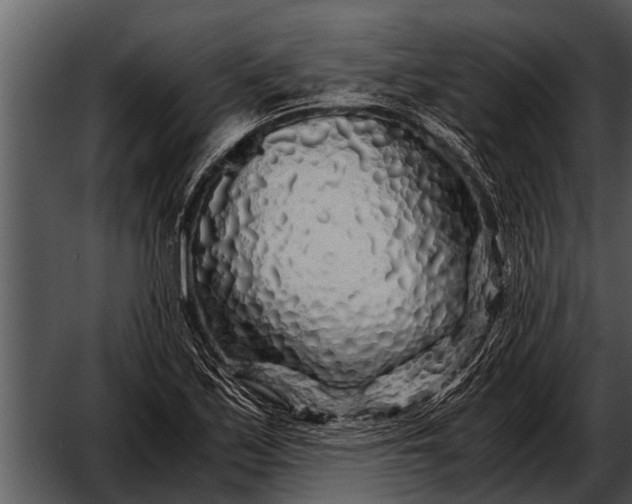 X0000052651171200507160215