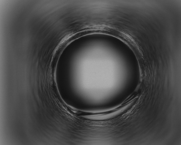 X0000052651172200507160215