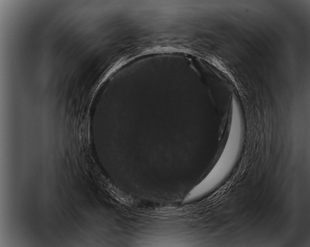 X0000052651173200507160215