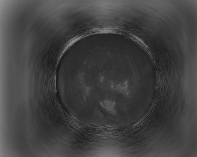 X0000052651174200507160215