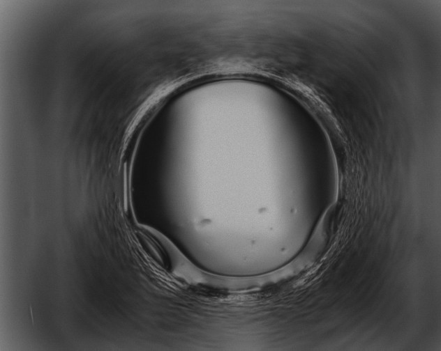 X0000052651175200507160215