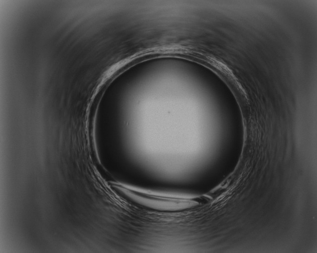 X0000052651176200507160215