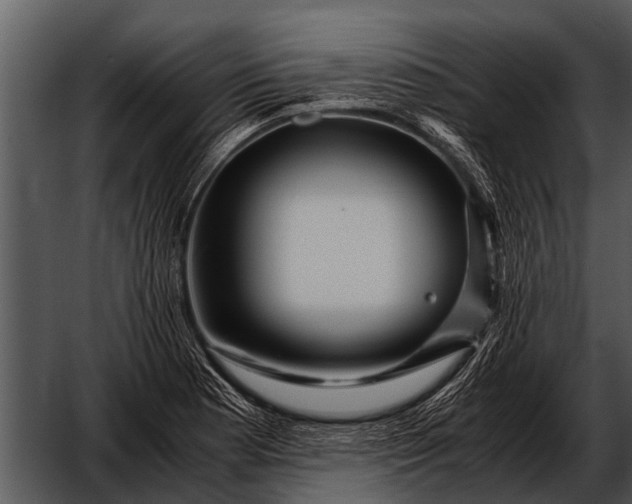 X0000052651177200507160215