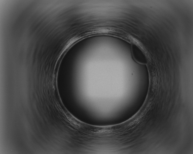 X0000052651178200507160215