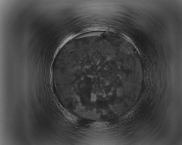 X0000052651179200507160215