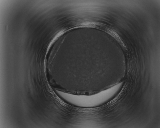 X0000052651180200507160215