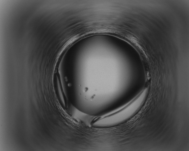 X0000052651181200507160215