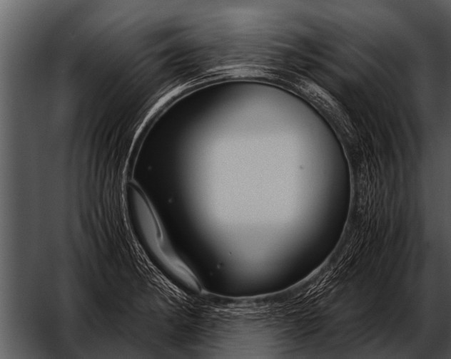 X0000052651182200507160215