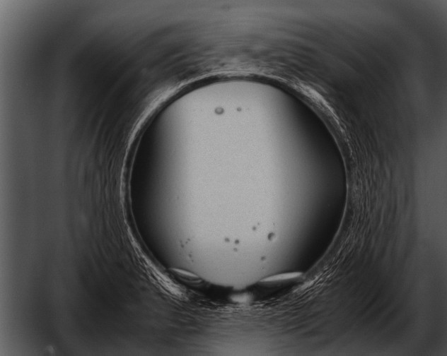 X0000052651183200507160215