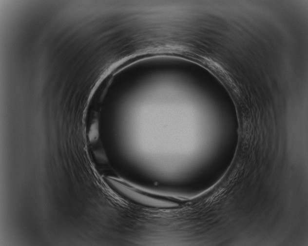 X0000052651184200507160215