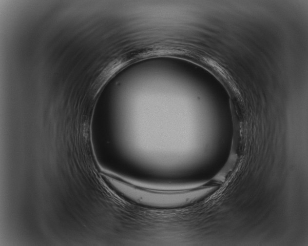 X0000052651185200507160215