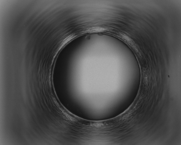 X0000052651186200507160215