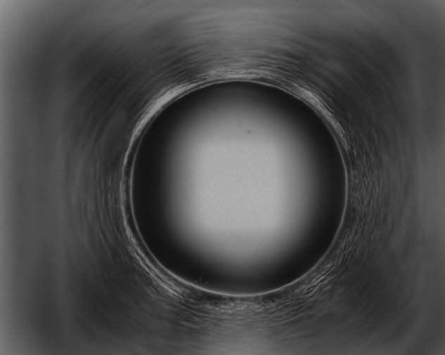 X0000052651187200507160215