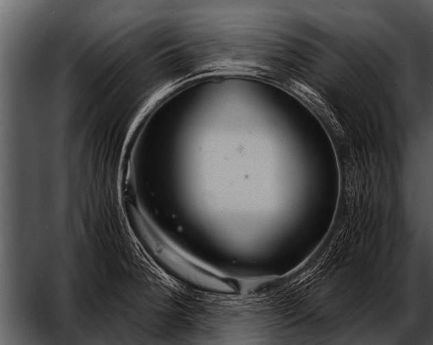 X0000052651188200507160215