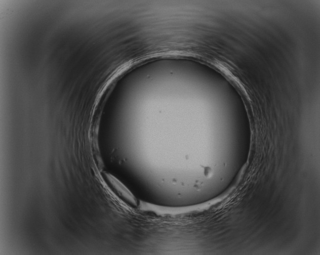 X0000052651189200507160215