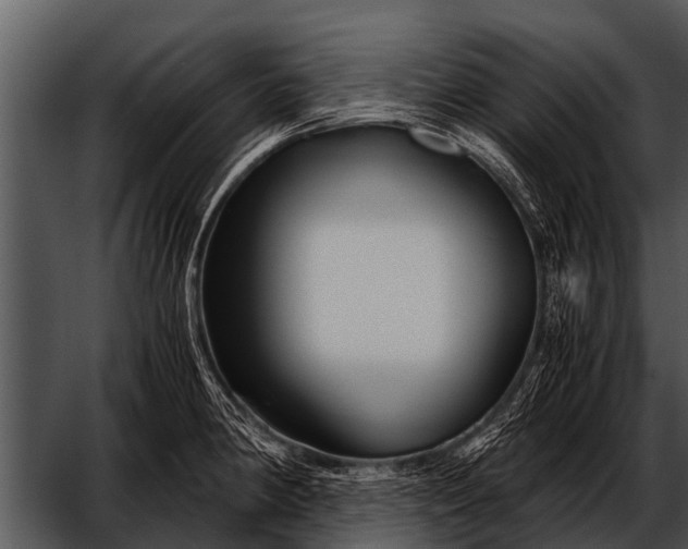 X0000052651190200507160215