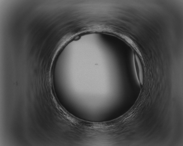 X0000052651191200507160215