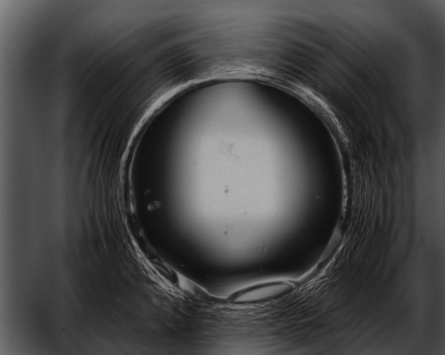 X0000052651192200507160215