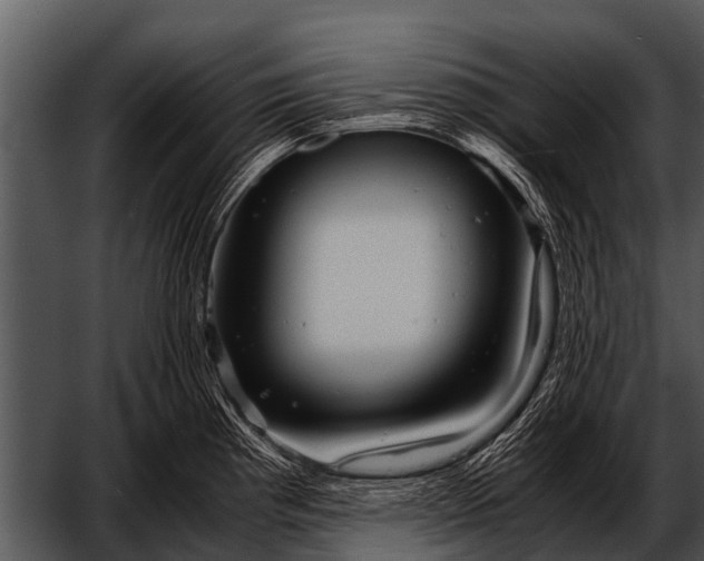 X0000052651193200507160215