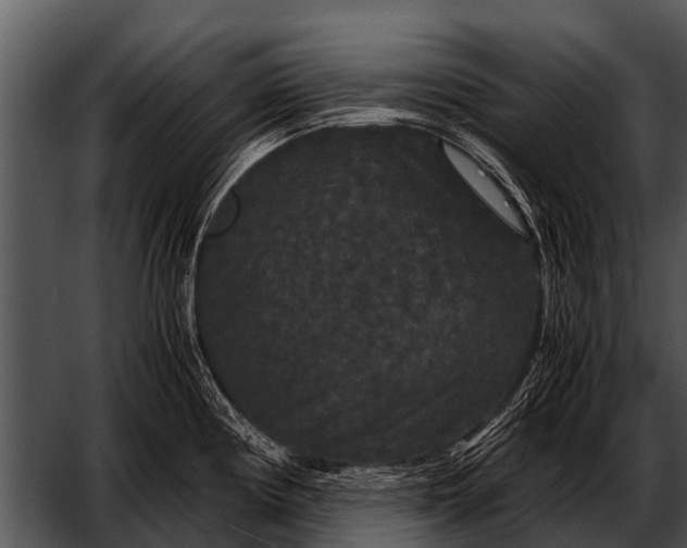 X0000052651194200507160215