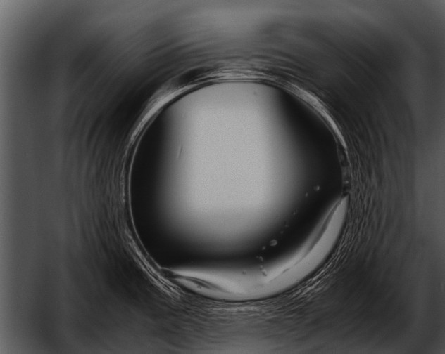 X0000052651195200507160215