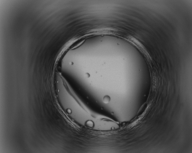 X0000052651196200507160215