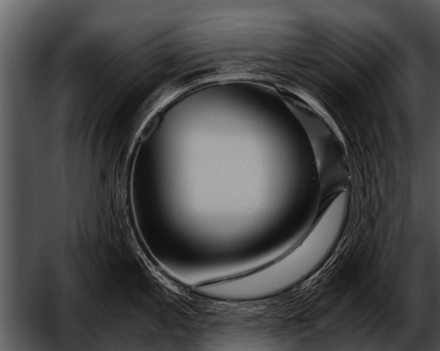 X0000052651197200507160215