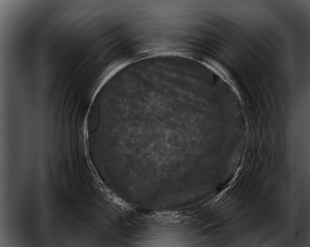 X0000052651198200507160215