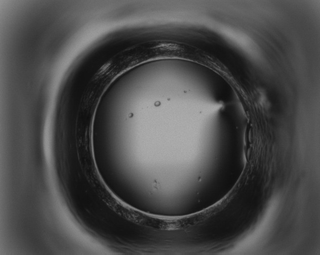 X0000052651199200507160215