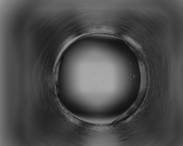 X0000052651200200507160215