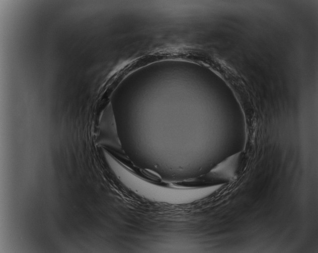 X0000052651206200507160214