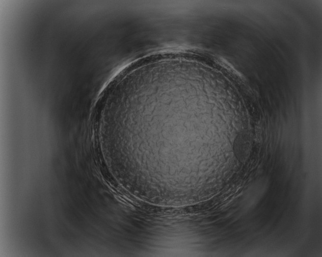 X0000052651208200507160214