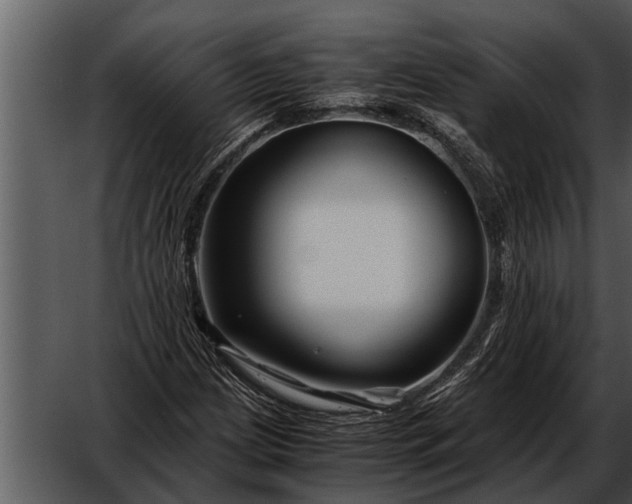 X0000052651209200507160214