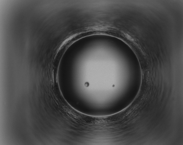 X0000052651214200507160214