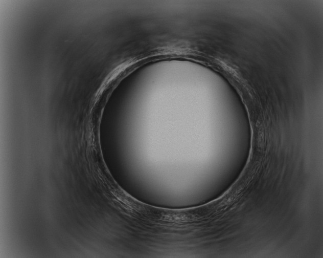 X0000052651215200507160214