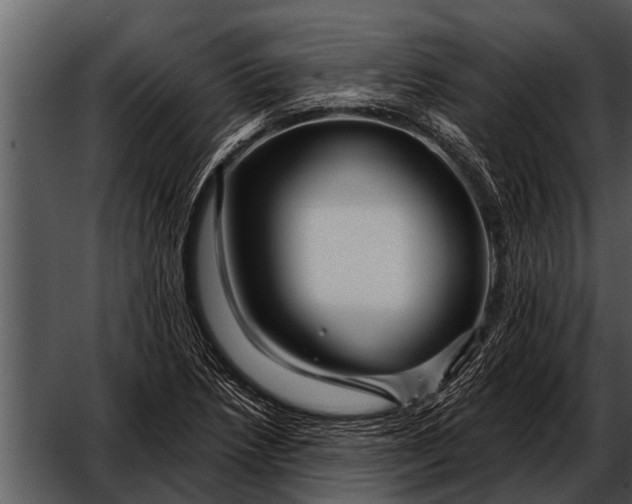 X0000052651218200507160214