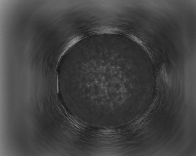 X0000052651219200507160214