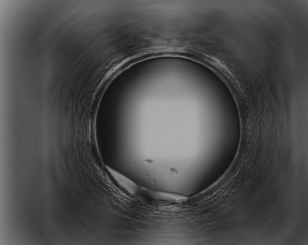 X0000052651220200507160214