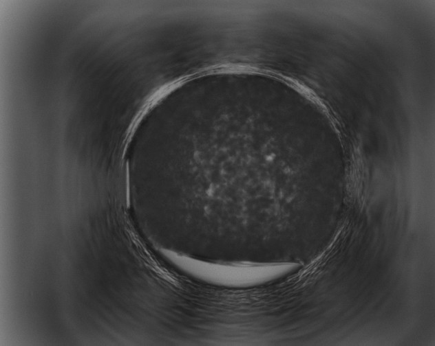 X0000052651223200507160214