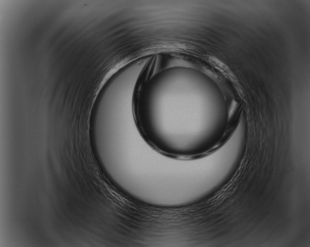 X0000052651226200507160214