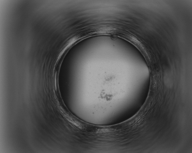 X0000052651227200507160214