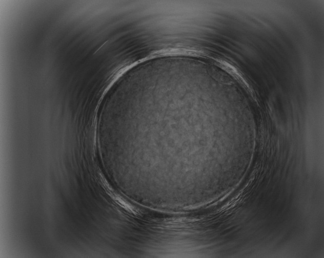X0000052651228200507160214