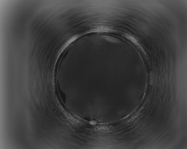 X0000052651229200507160214