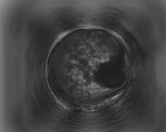 X0000052651231200507160214