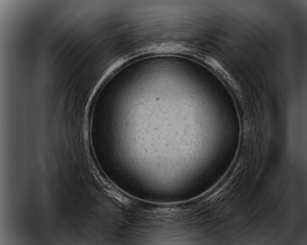 X0000052651232200507160214