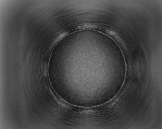 X0000052651233200507160214