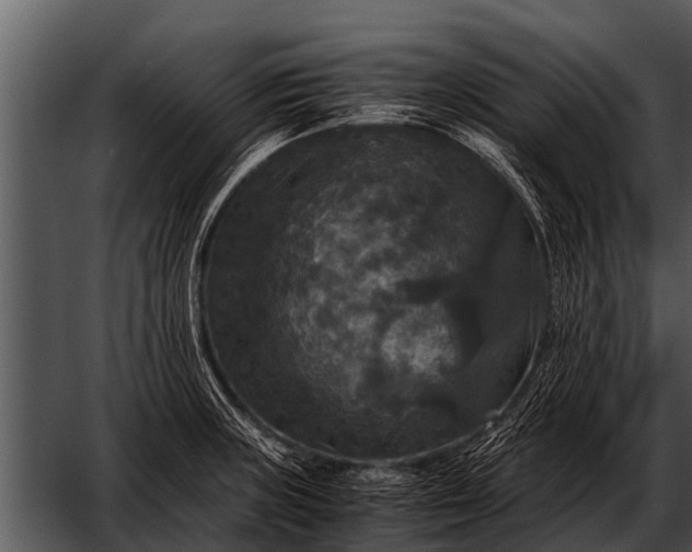 X0000052651235200507160214